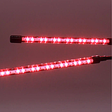 Подвійна ультрафіолетова світлодіодна гнучка фітолампа для рослин Led Plant Grow Light USB, фото 6