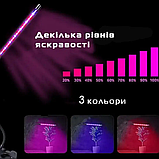 Подвійна ультрафіолетова світлодіодна гнучка фітолампа для рослин Led Plant Grow Light USB, фото 3