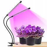 Подвійна ультрафіолетова світлодіодна гнучка фітолампа для рослин Led Plant Grow Light USB, фото 7