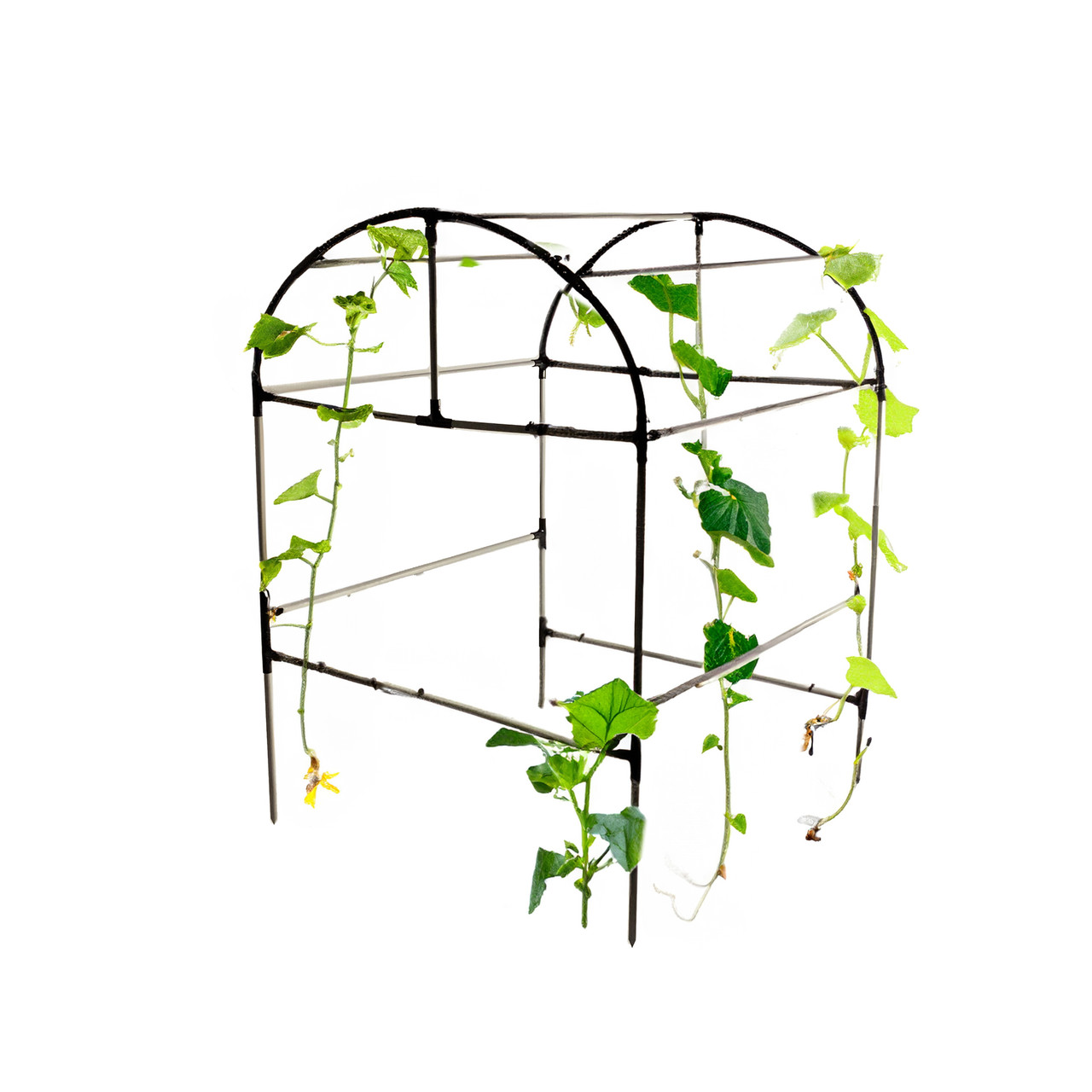 Садова опора для міні-парника Chalet. Легкий каркас для міні-теплиці на дачі. Об'ємна система для підв'язування рослин.