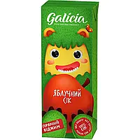 Сок с мякотью Яблочный неосветленный 0,2 л TGA Galicia