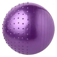 Мяч для фитнеса 65 см комби (1000гр) фиолетовый