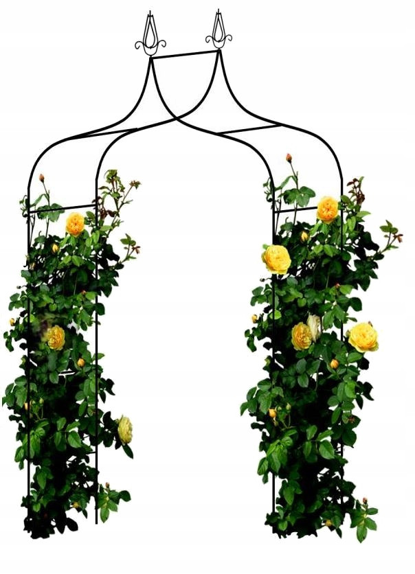 Садова альтанка арка для троянд квітів пергола 240 см GardenLine + анкери, фото 1