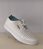 Мокасини жіночі перфорація 37-40 розміру