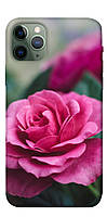 Чехол IBANAN Роза в саду для iPhone 11 Pro (5.8"")