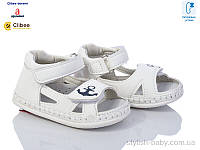 Детская обувь оптом. Детские пинетки 2023 бренда Clibee - Doremi (рр. с 17 по 20)