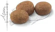 Сухий корм для котів ROYAL CANIN STERILISED для стерилізованих 400 г, фото 4