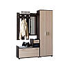 Передпокій Еверест Тандем з розпашною шафою ШП-1 і тумбою (права) венге темний+дуб молочний (DTM-2458), фото 2