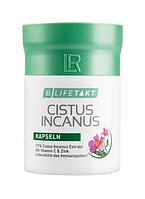 LR Cistus Incanus Капсулы для иммунитета и защиты от вирусов Цистус Инканус