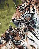 Картина по номерам BrushMe Семейство тигров 40х50см BS52792 EJ, код: 8264241