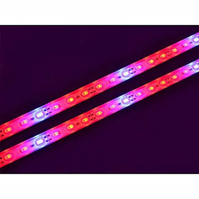 Фіто смужки