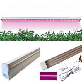 Фітосвітильники