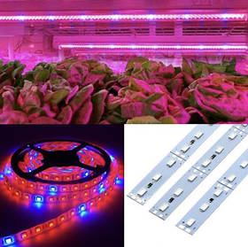 Фітострічка, фітолінійка