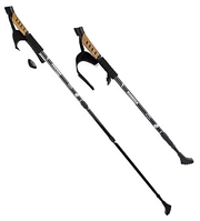Палиці для скандинавської ходьби Kodenor телескопічні пара 135 см Black (70505B-E)