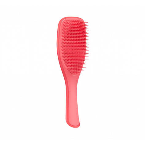 Щітка для волосся Tangle Teezer The Wet Detangler Pink Punch , 1 шт (5060926681757), фото 1