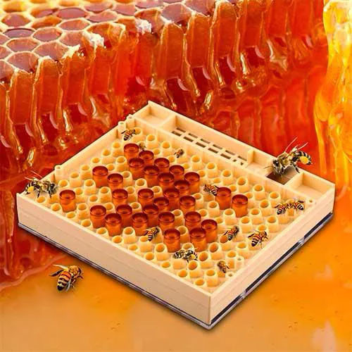 Система для вывода пчелиных маток Никот Nicot 110 ячеек ZXC - фото 2 - id-p2199117495