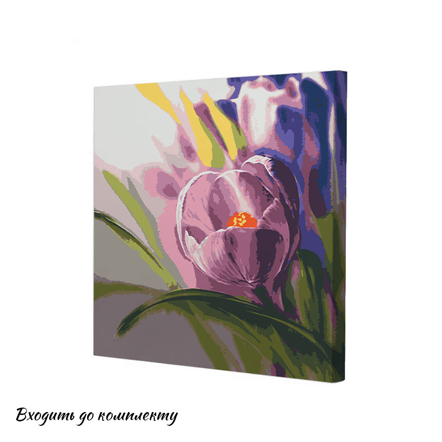 Картина за номерами Riviera Blanca Крокус 40x40 см (RB-0908)