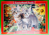 Пазлы Castorland 1500 эл. "Котята" (151899) 68*47 см