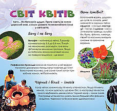 Дружболандія № 5-2024 (укр.) – США, штат Алабама, фото 4