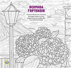 Дружболандія № 5-2024 (укр.) – США, штат Алабама, фото 6