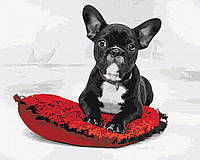 Картина по номерам BrushMe Моя любимая собака 40х50см BS51842 GT, код: 8264279