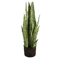 Штучна рослина Engard Sansevieria, 65 см (DW-11) UN, код: 8202236