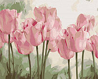 Картина по номерам BrushMe Нежные тюльпаны 40х50см BS53322 ZK, код: 8265863