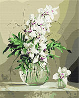 Картина по номерам BrushMe Орхидеи в вазе 40х50см BS21177 EM, код: 8263300