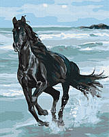 Картина за номерами BrushMe Чорний кінь 40х50 см BS29330 SN, код: 8265342