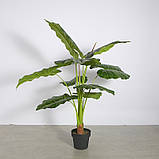 Штучна рослина Engard Taro 120 см (DW-07) KB, код: 8202232, фото 2