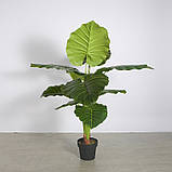 Штучна рослина Engard Taro 120 см (DW-07) KB, код: 8202232, фото 3
