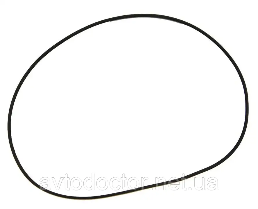 Уплотнительное кольцо; Уплотнительн, фото 1
