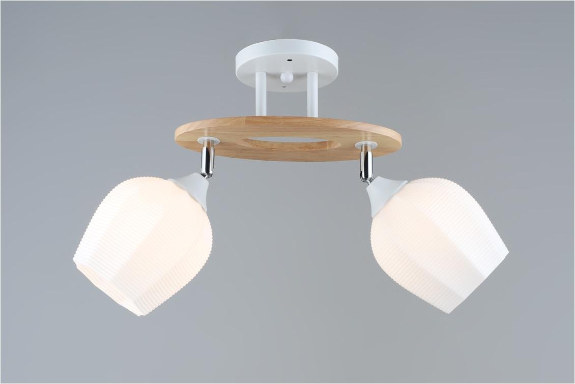 Стельова люстра на два поворотних плафони L530*W130*H270 E27
