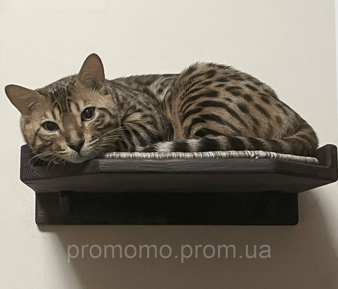 Настенная лежанка / кровать / спальное место для котов и кошек Кошачья ...