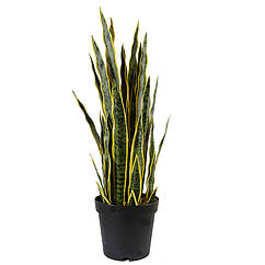 Штучна рослина Engard Sansevieria, 92 см (DW-12) ZK, код: 8202237