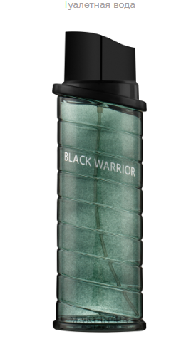 Real Time Black Warrior