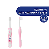 Зубна щітка дитяча Chicco 6-36 міс, pink, фото 2