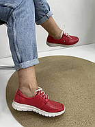 Кросівки жіночі Doren 20115-006-kirmizi шкіряні червоні 36, фото 4