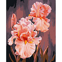 Картина за номерами "Рожеві іриси" Art Craft 13140-AC 40х50 см sl