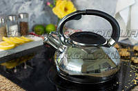 Чайник для плиты EB-2435 Edenberg из нержавеющей стали со свистком 3.0