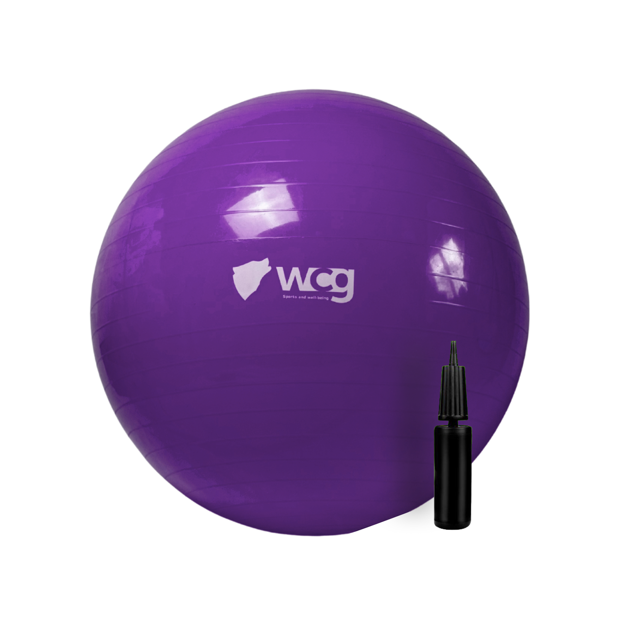 М'яч для фітнесу (фітбол) WCG 65 Anti-Burst 300кг Фіолетовий + насос