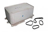 Масляный радиатор (255x112x146,5мм) DAF CF 85, XF 105, XF 106, XF 95 MX-11320-XF355M 01.01- ( 90726 | NISSENS