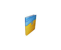 Папка Miniclip 20мм А4 PP покрытие с прижимом. желт.-голуб ITEM321. UA