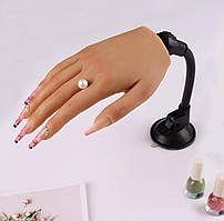 Тренувальна рука для манікюру на штативі з типсами в комплекті (10 шт.) та кріпленням до столу