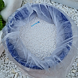 Шоковий хлор для басейну AquaDoctor C-60 в гранулах 1 кг дезінфектант на основі хлору швидкої дії, фото 4