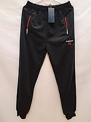 Чоловічі спортивні штани чорнi НОРМА 6687-1 весна- осiнь. вир-во Китай.