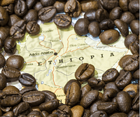 Сорт кави ефіопська сидімо 250 г, Натуральна Міцна кава в зернах навіс, Кава в зернах арабіка