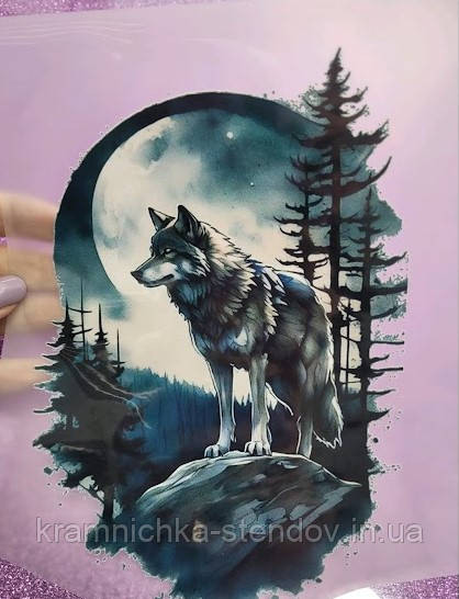 Термонаклейка на одяг, фото 1