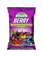 Удобрение Berry для голубики, ежевики, клюквы 2 кг