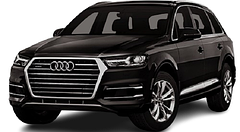 Audi Q5 (FY) '16-